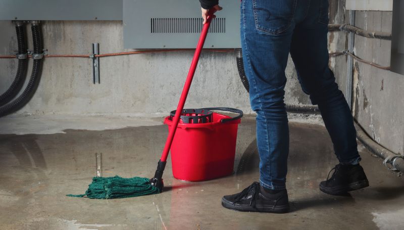 Wet Basement Solutions in Greenville, SC