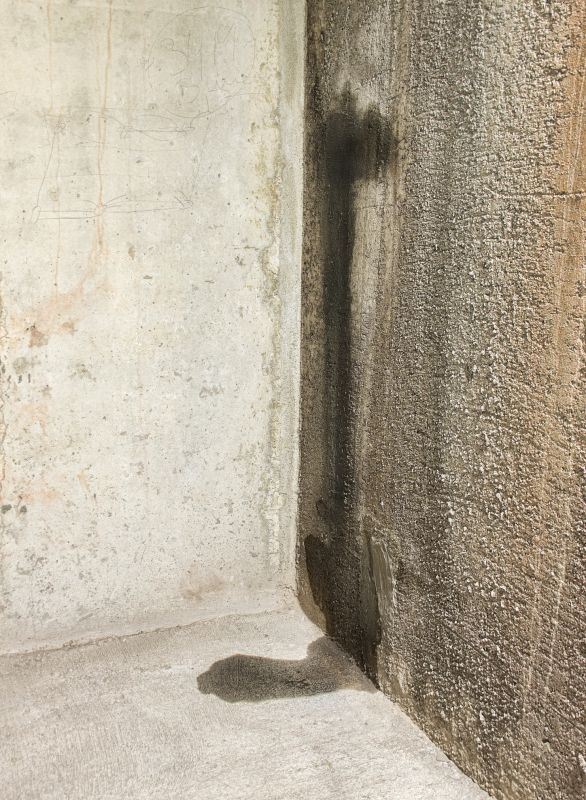 Basement Leak Repair in Grand Rapids, MI
